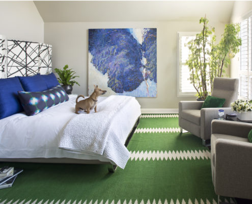 Main_EMR_7366dog Top Denver home carpet installation company
